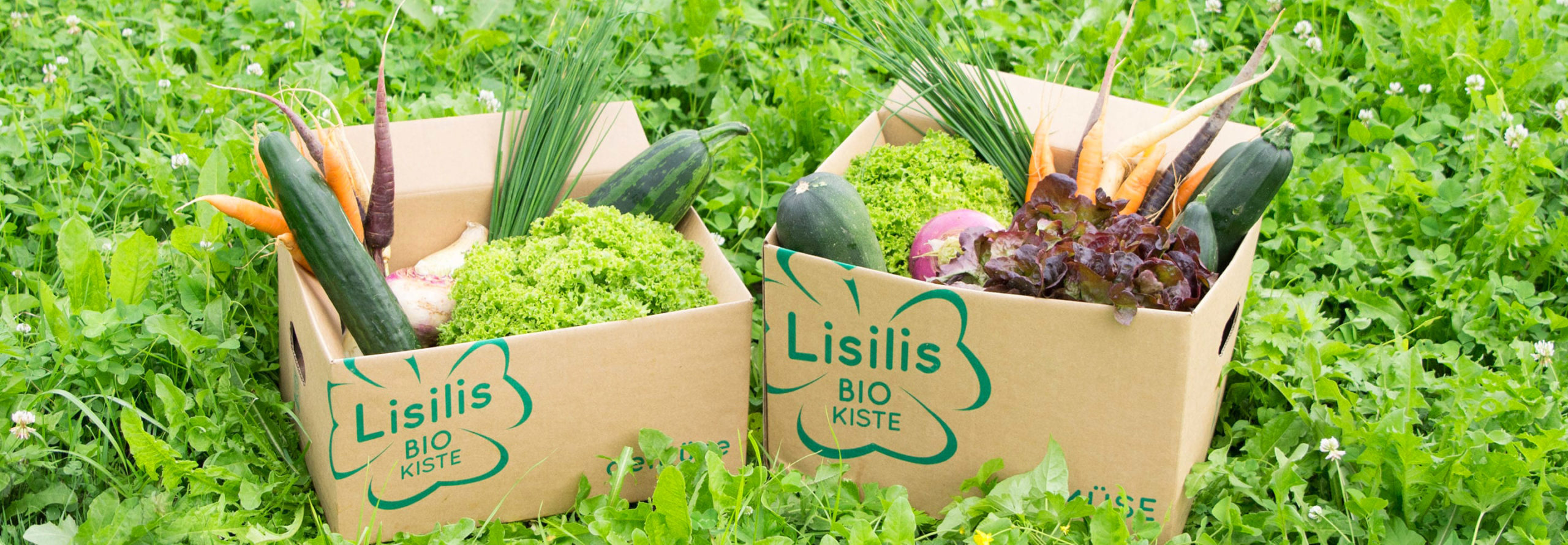 Lisilis Bio-Kiste