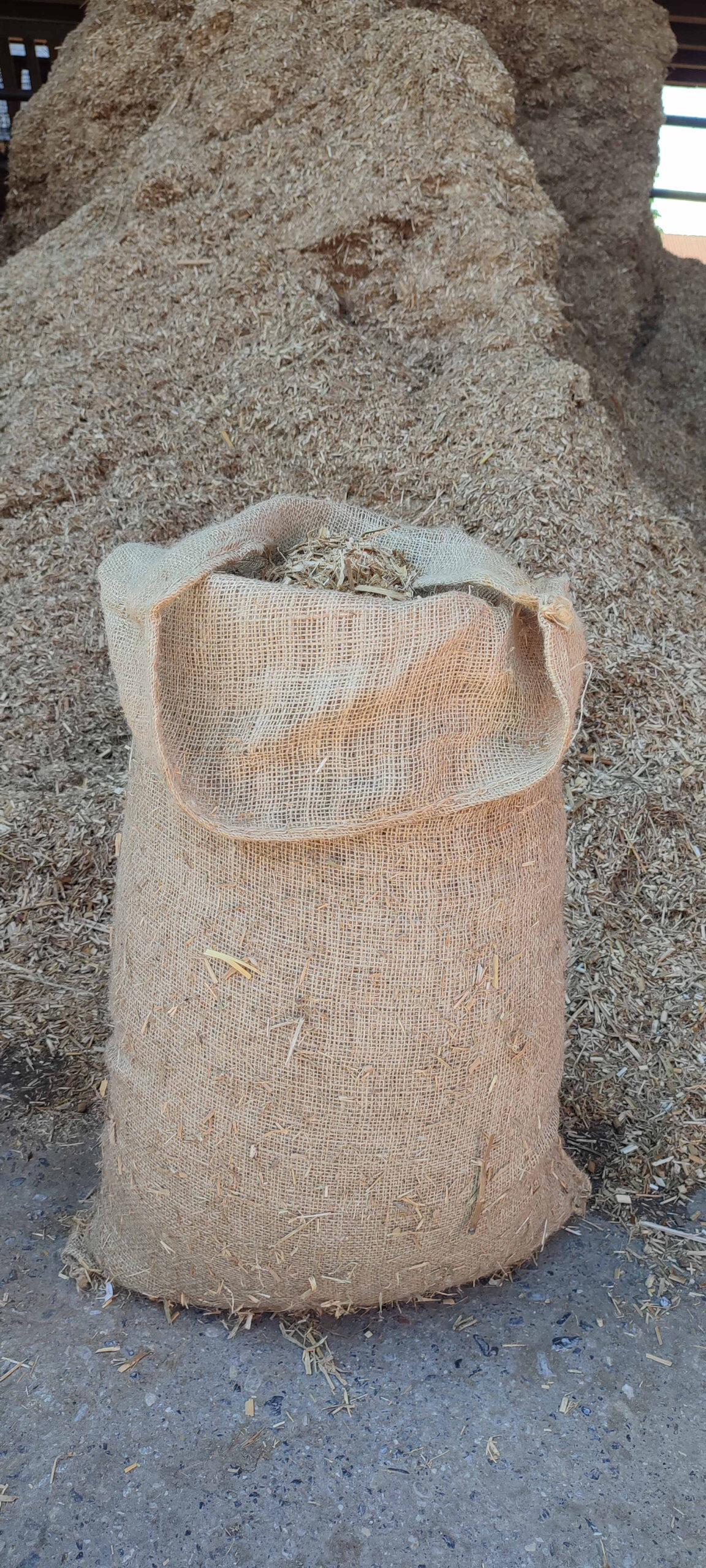 Du betrachtest gerade Miscanthus-Häcksel bei uns erhältlich
